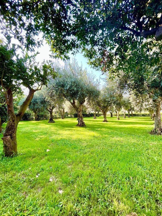 Il Giardino Di Athena Villa Paestum Eksteriør billede