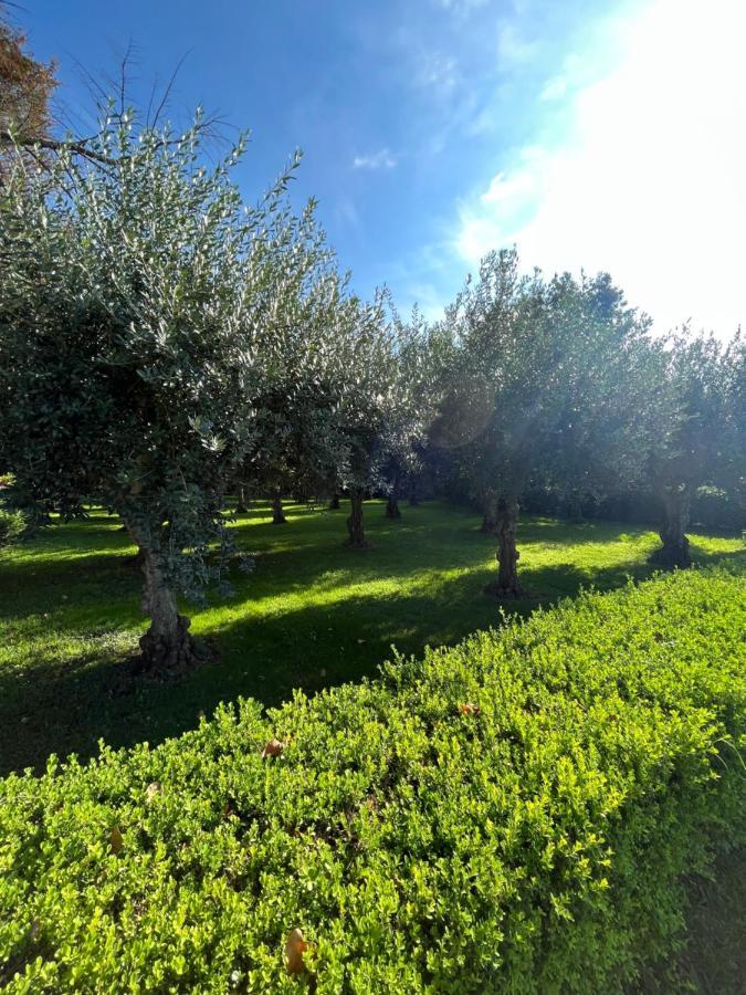 Il Giardino Di Athena Villa Paestum Eksteriør billede