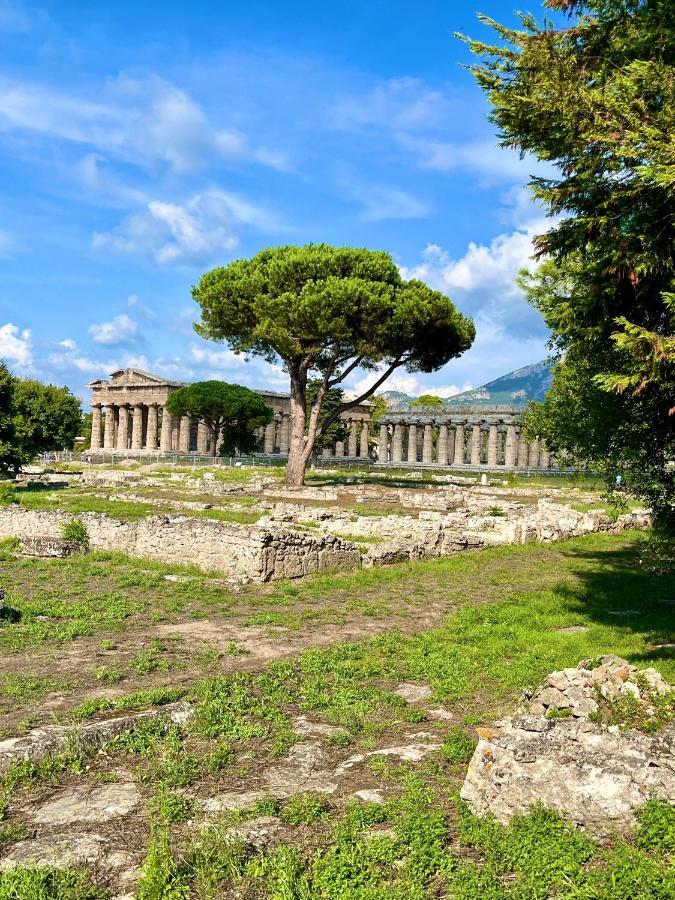 Il Giardino Di Athena Villa Paestum Eksteriør billede